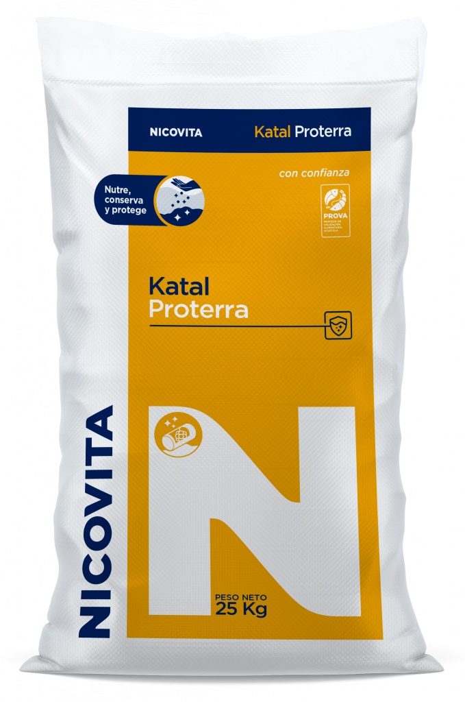 Katal Pro Kilogramm [Kat/Kg] | Erweiterte Makro-Datei für Papyrus – BYAMJ